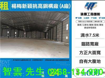 楊梅倉庫-0