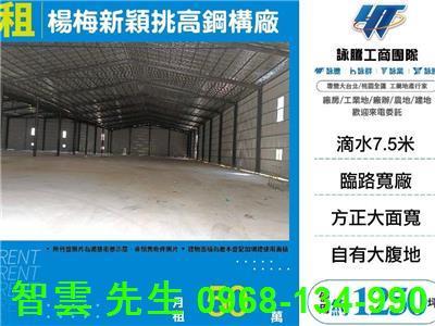 楊梅倉庫-0