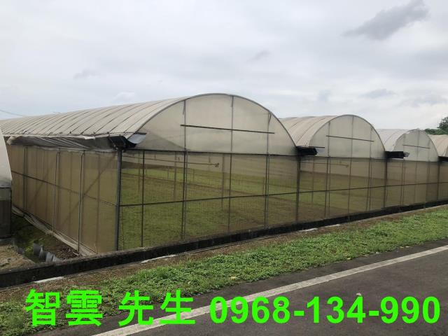桃園區農地-1
