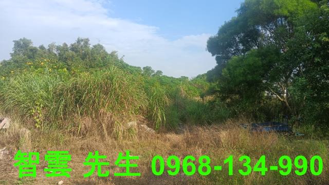 桃園觀音建地-2