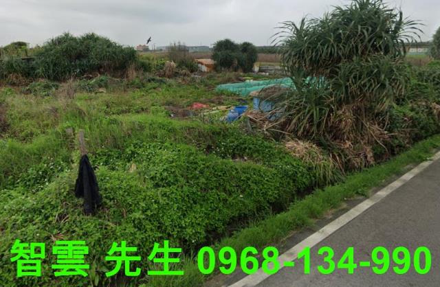 桃園大園農地-0